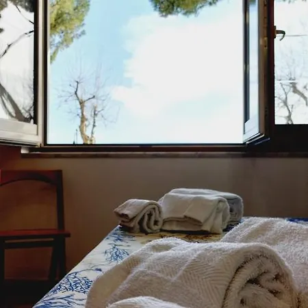 Al Lungomare アパート マイオーリ